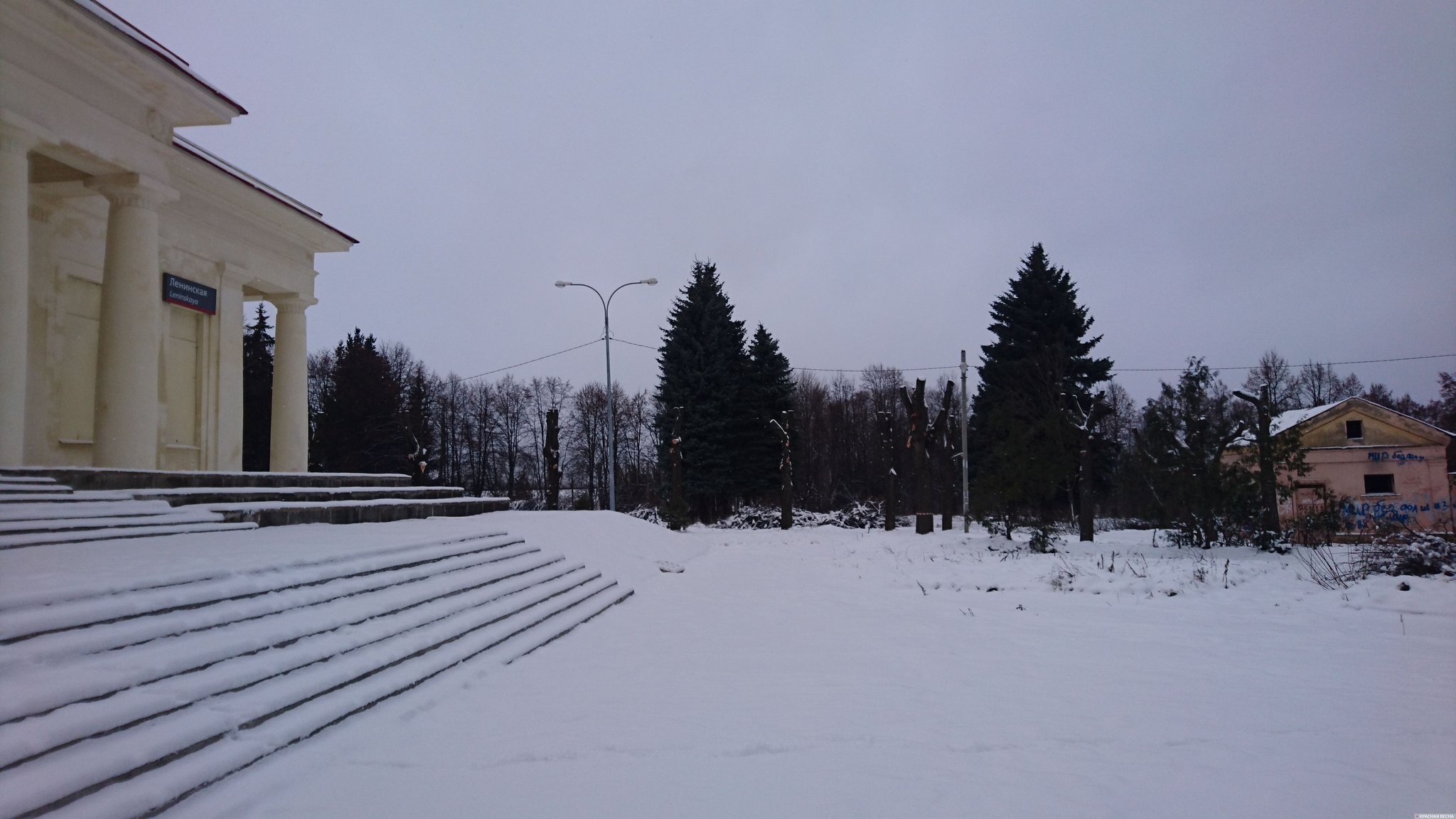 Спиленные липы рядом с мемориальным вокзалом на станции Ленинская