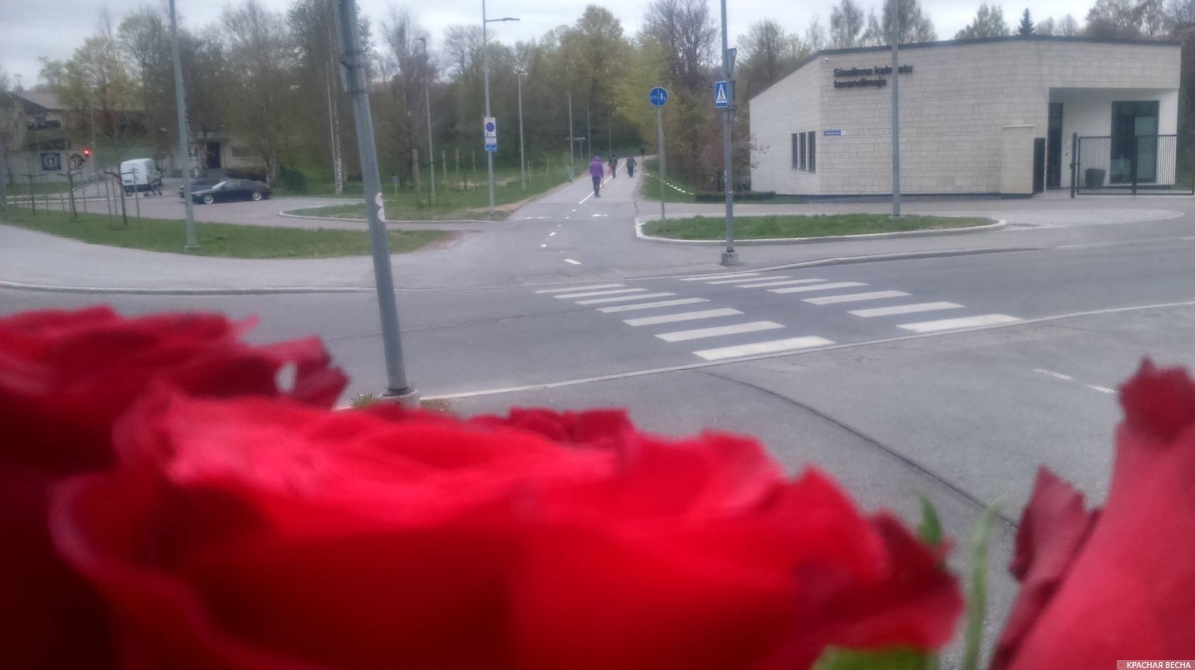 Люди несут цветы к памятнику Воину-Освободителю. Таллин. 9 мая 2024