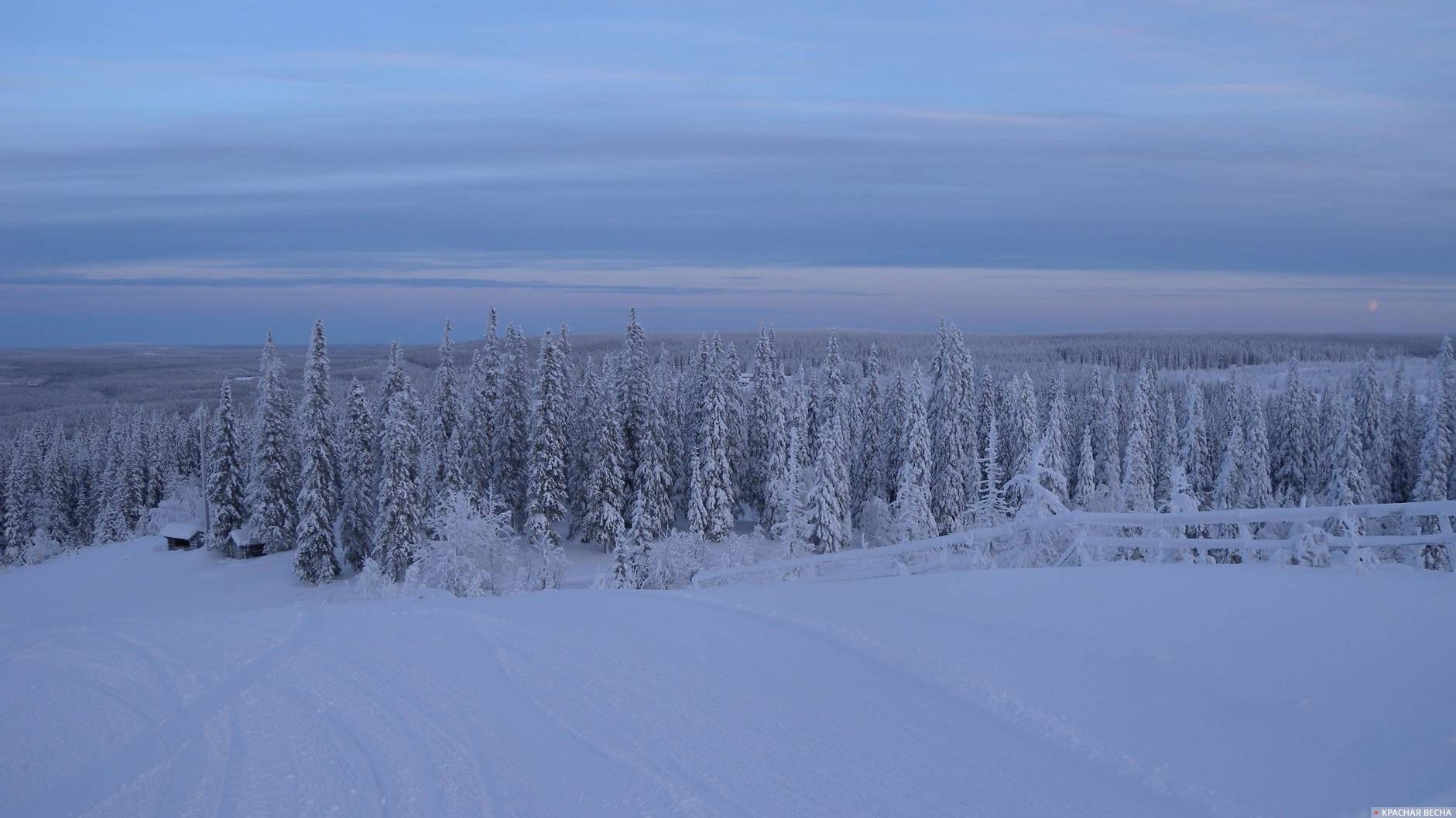 Зима. Центральная Финляндия