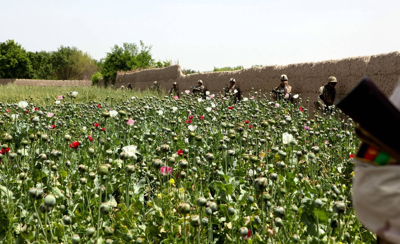 В Иране на границе с Афганистаном изъято более тонны наркотиков