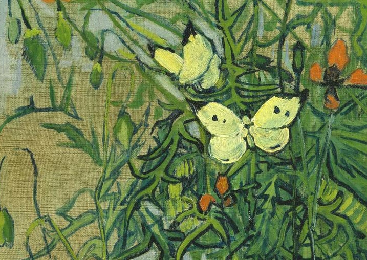 Винсент Ван Гог. Маки и бабочки (фрагмент). 1890