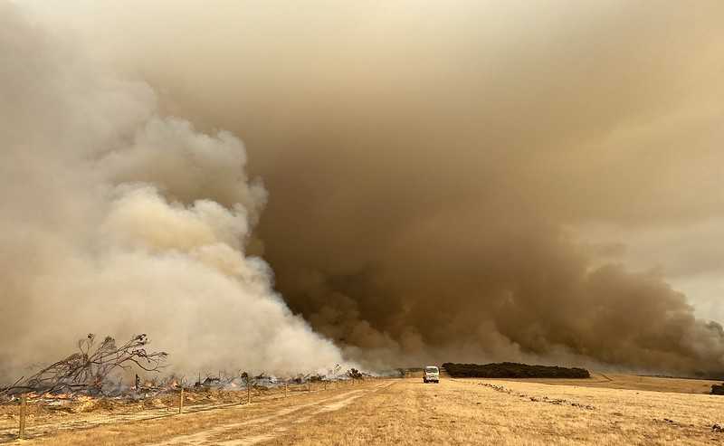 Пожар в Южной Австралии (Январь 2020 г.)