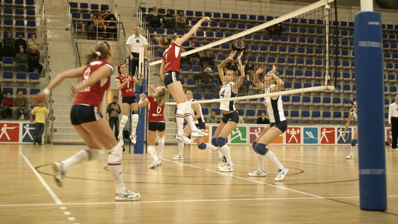 Basketball and volleyball. Волейбол и баскетбол. Футбол волейбол. Футбол баскетбол волейбол. Волейбол картинки.