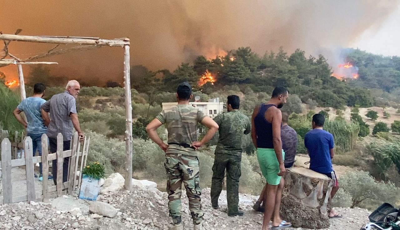 Лесные пожары в Сирии