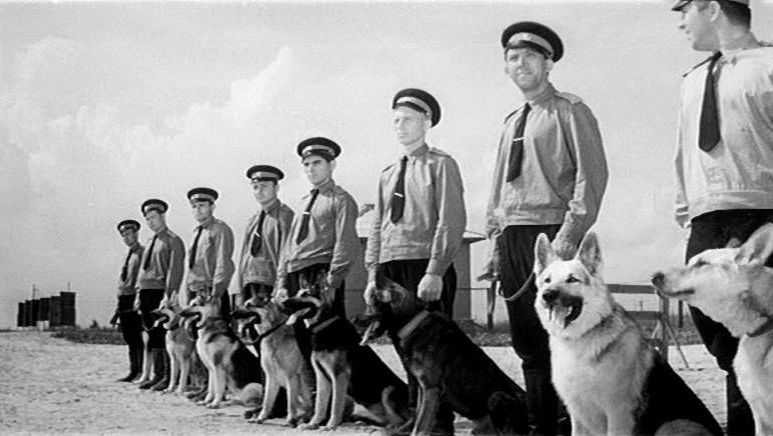 На страже закона