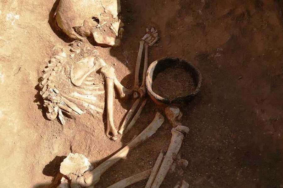 Захоронения найденные во время раскопок в Палласовском районе Волгоградской области