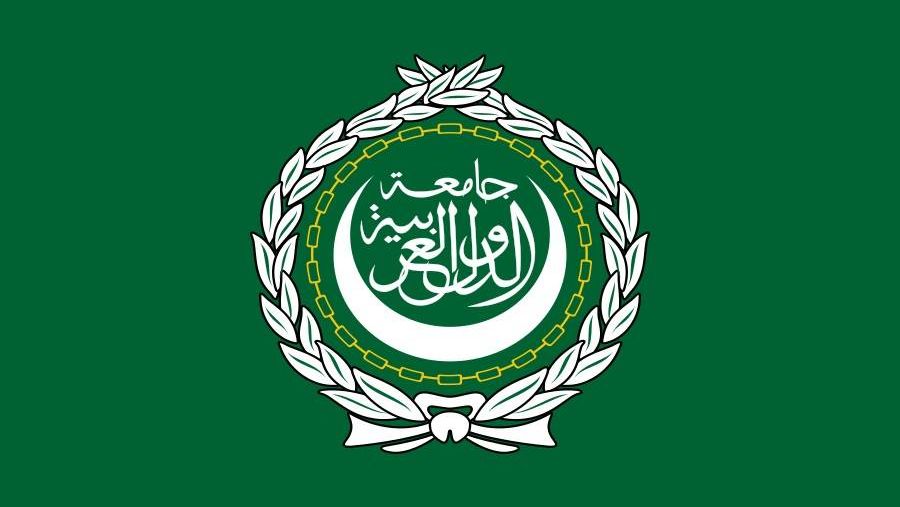 Флаг Лиги арабских государств. Фото из открытых источников