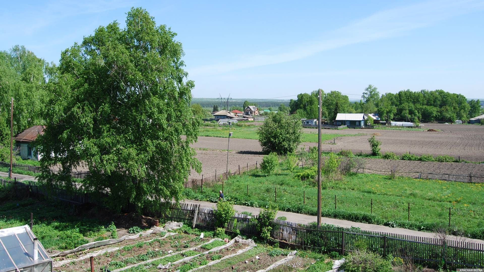 Сельская месность