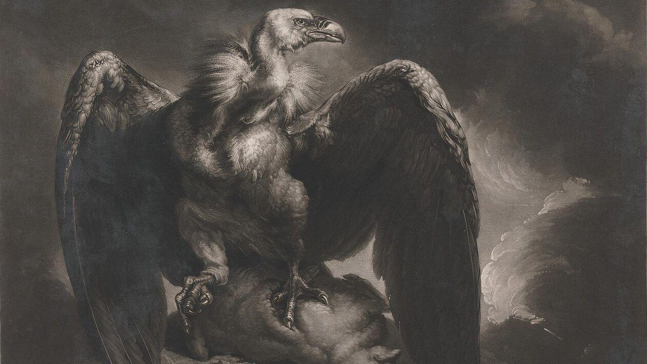 Сэмюэл Уильям Рейнольдс. Стервятник и ягненок. 1799