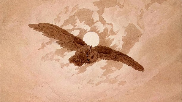 Каспар Давид Фридрих. Летящая сова на фоне лунного неба