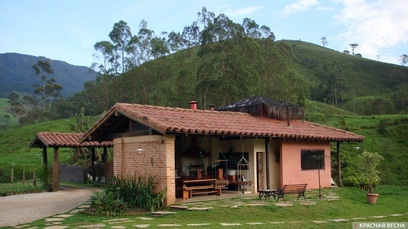 Производство молока в Бразилии сбавит темпы роста