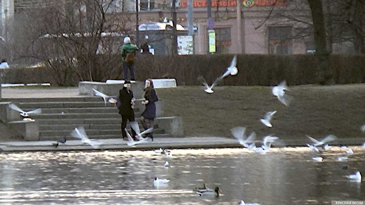 Санкт-Петербург. Московский парк Победы. Кормление птиц в нерабочий месяц