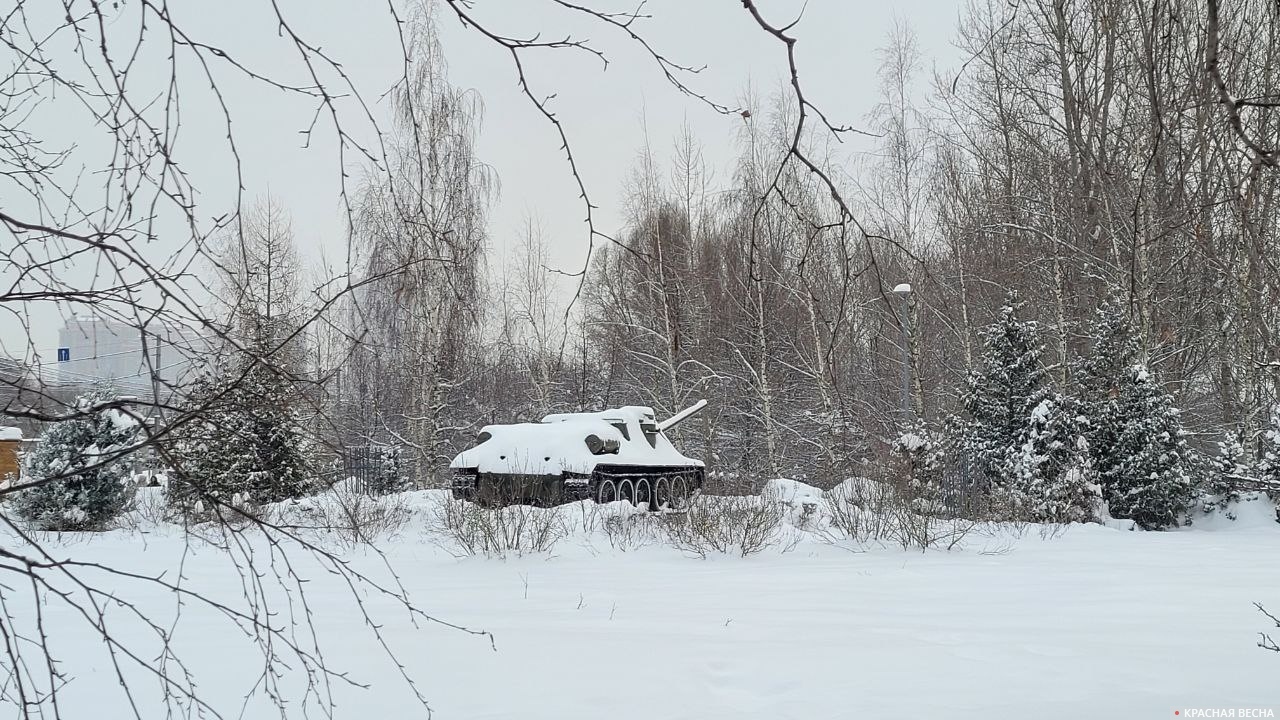 Строгино 27 января