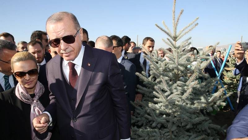 Президент Реджеп Тайип Эрдоган при высадке саженцев.