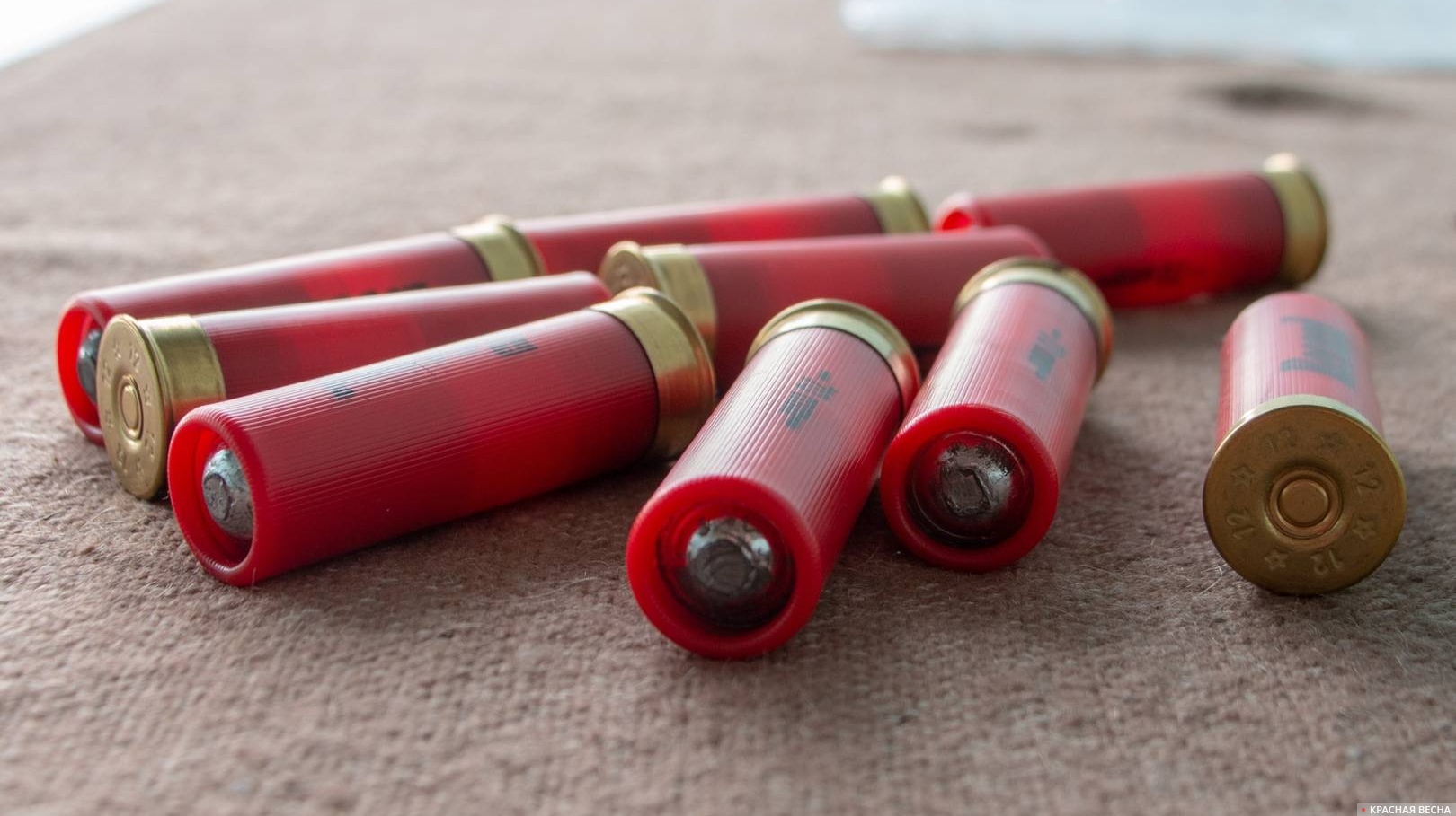 Патроны 12 калибра