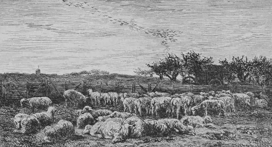 Шарль-Франсуа Добиньи. Большой загон для овец. 1860