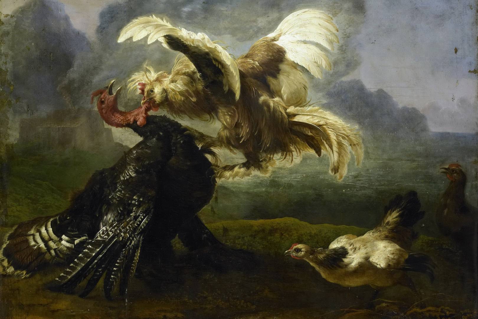 Неизвестный художник. Петух, сражающийся с индюком. Ок. 1655