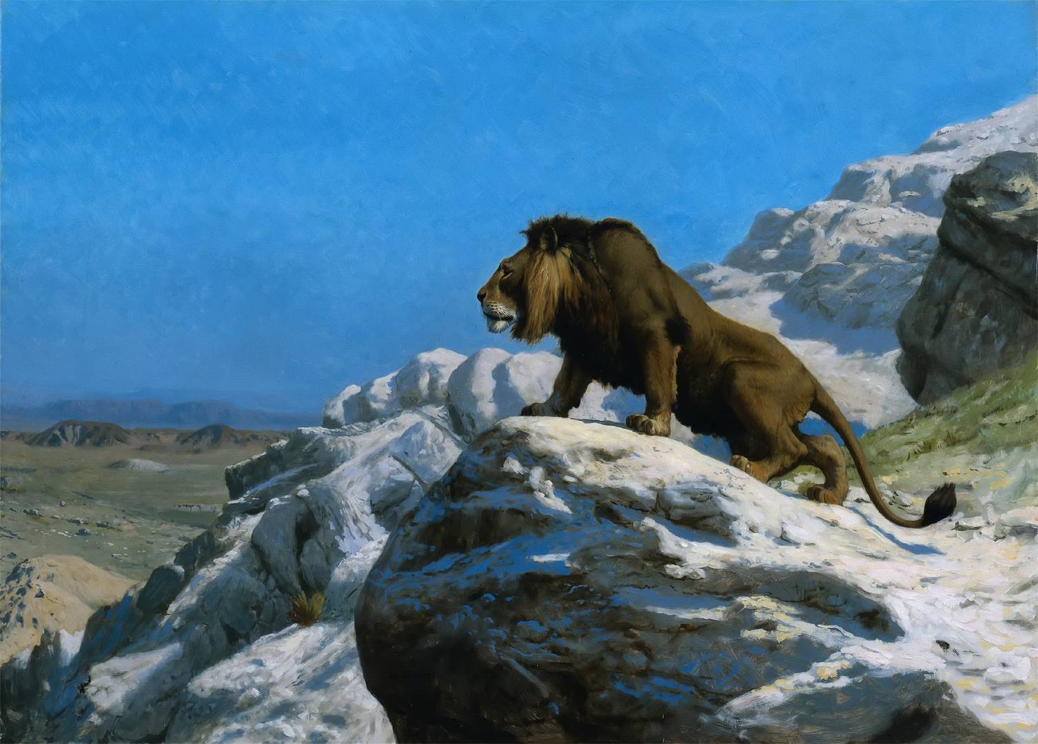 Жан-Леон Жером. «Настороженный лев». 1885