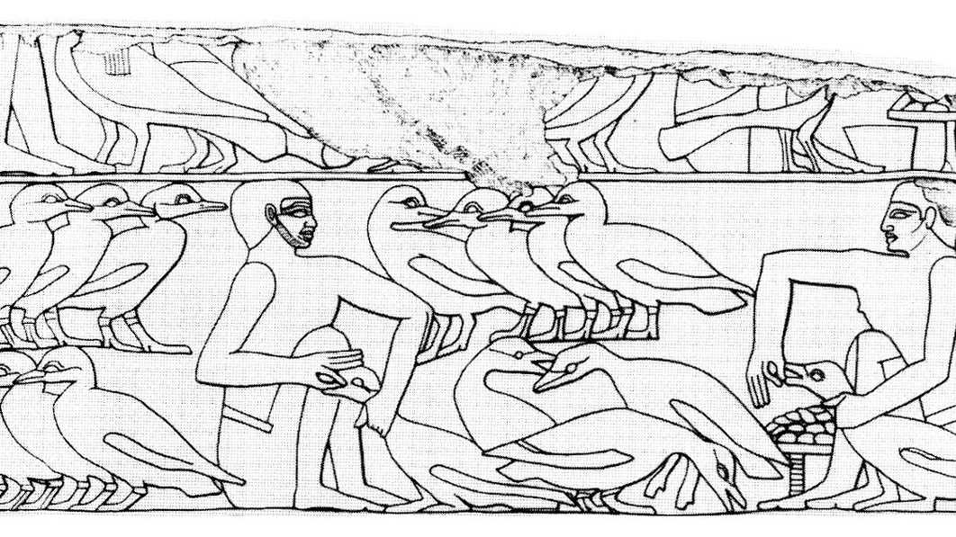 Египетская фреска с изображением принудительного откорма гусей