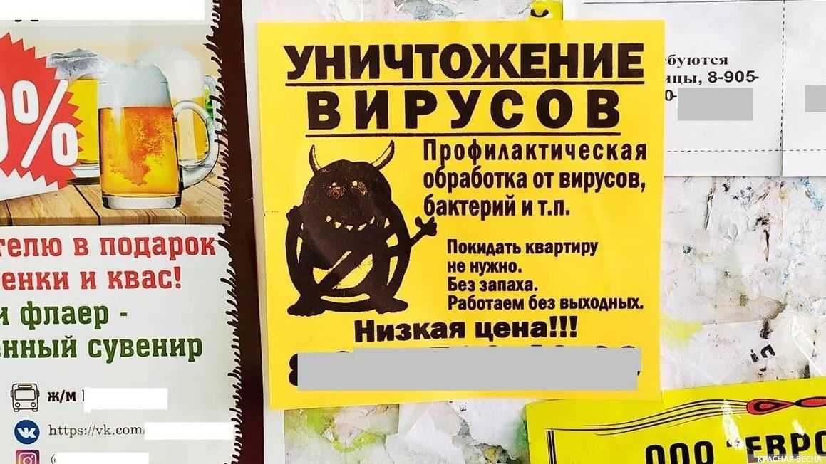 Новосибирск. Объявление об услуге уничтожения вирусов и бактерий
