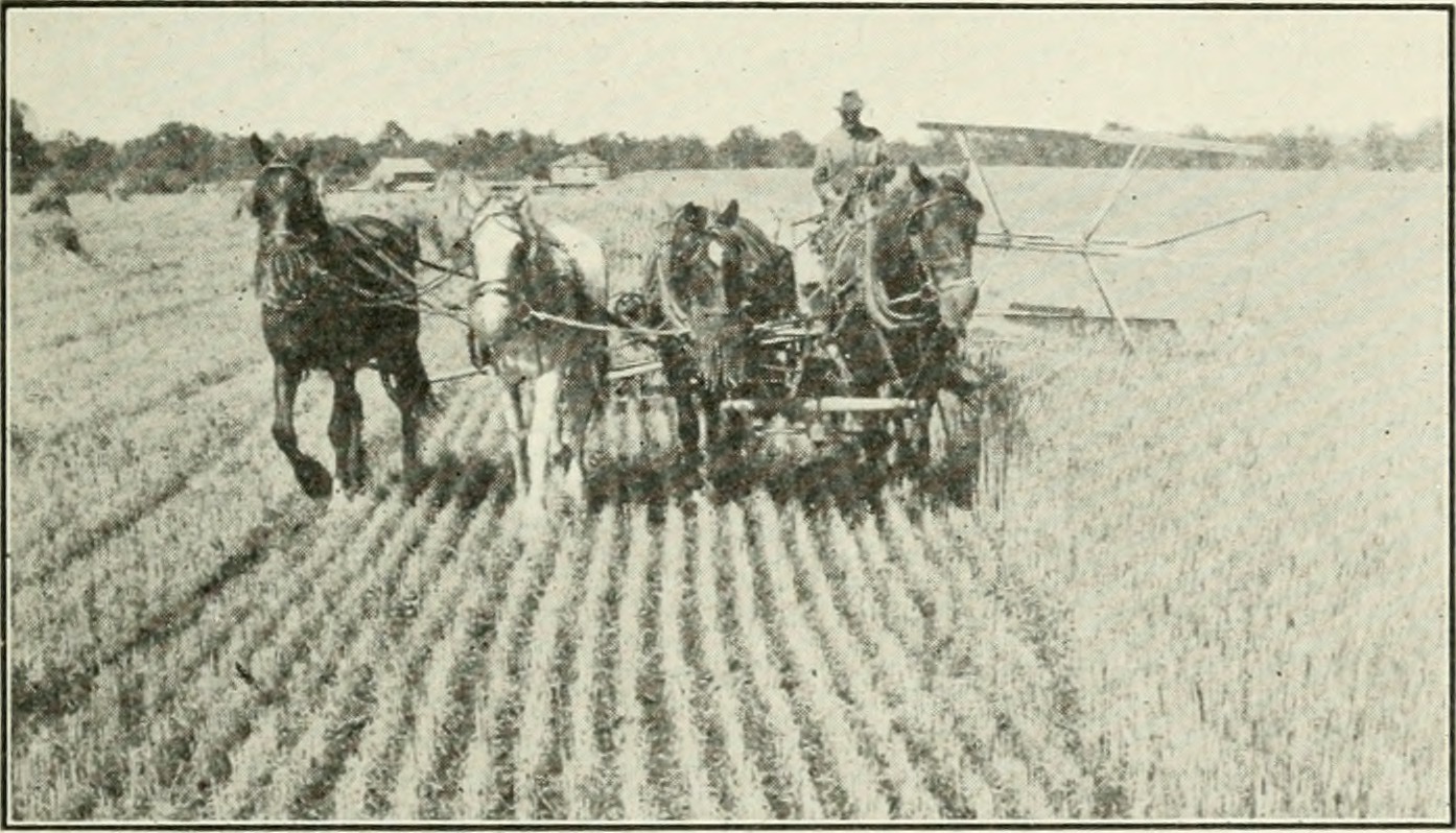 Канадскае фермеры используют экологичные технологии в 1921 году