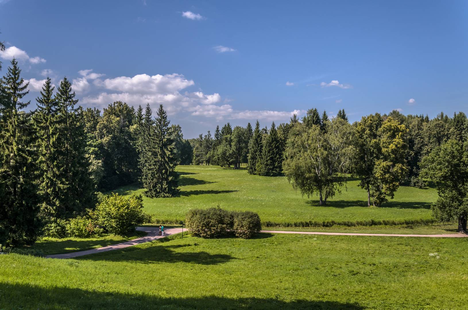 Парк павлова в минске фото