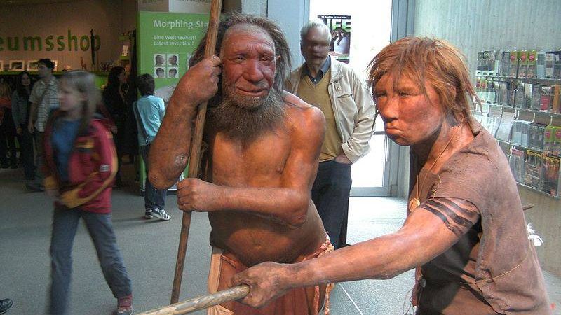 Реконструкция неандертальских мужчины и женщины, Неандертальский музей, Меттман, Германия