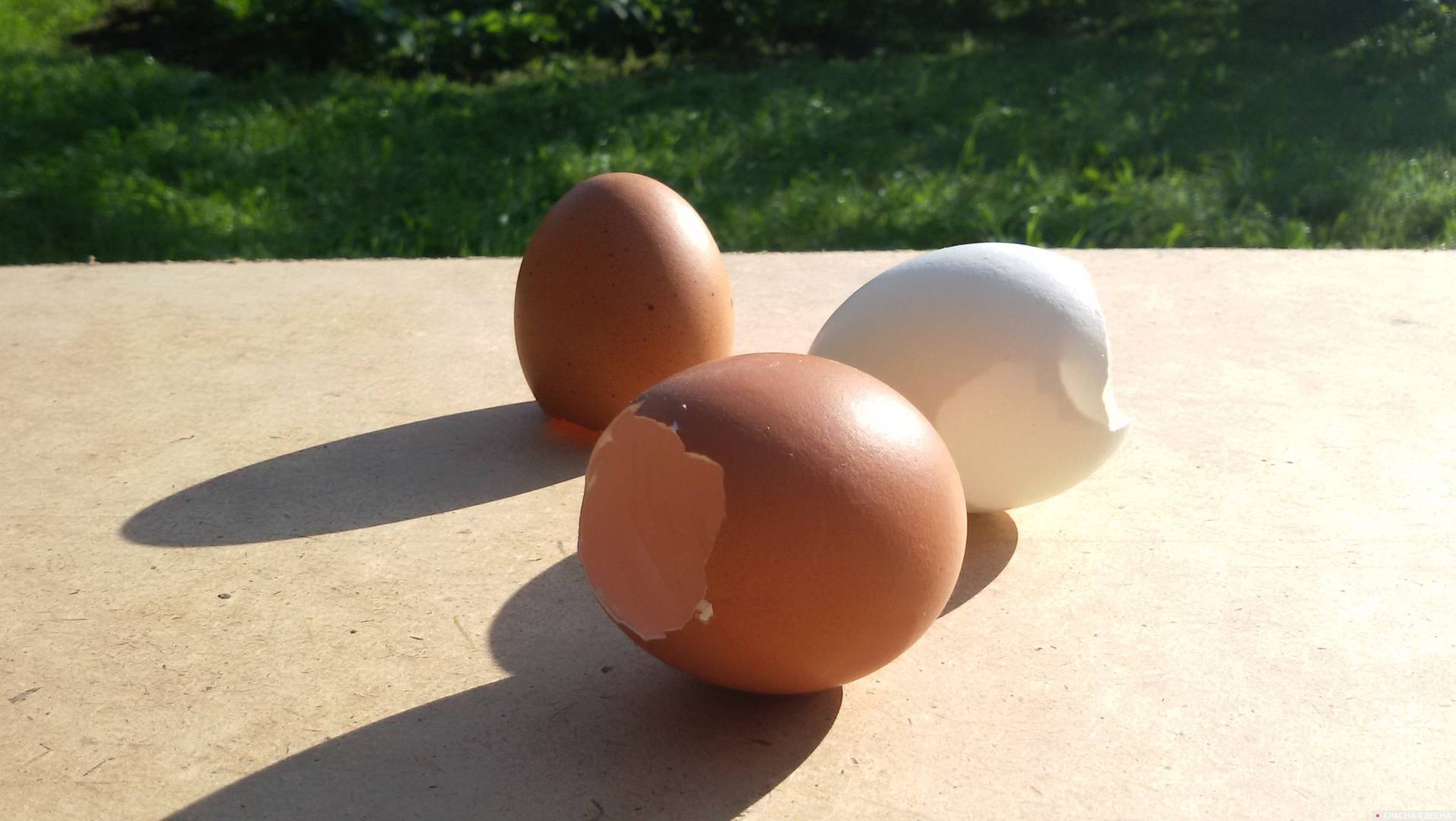 Выеденные яйца
