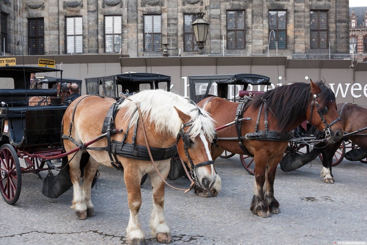 Конные экипажи на площади Дам, Амстердам, Нидерланды