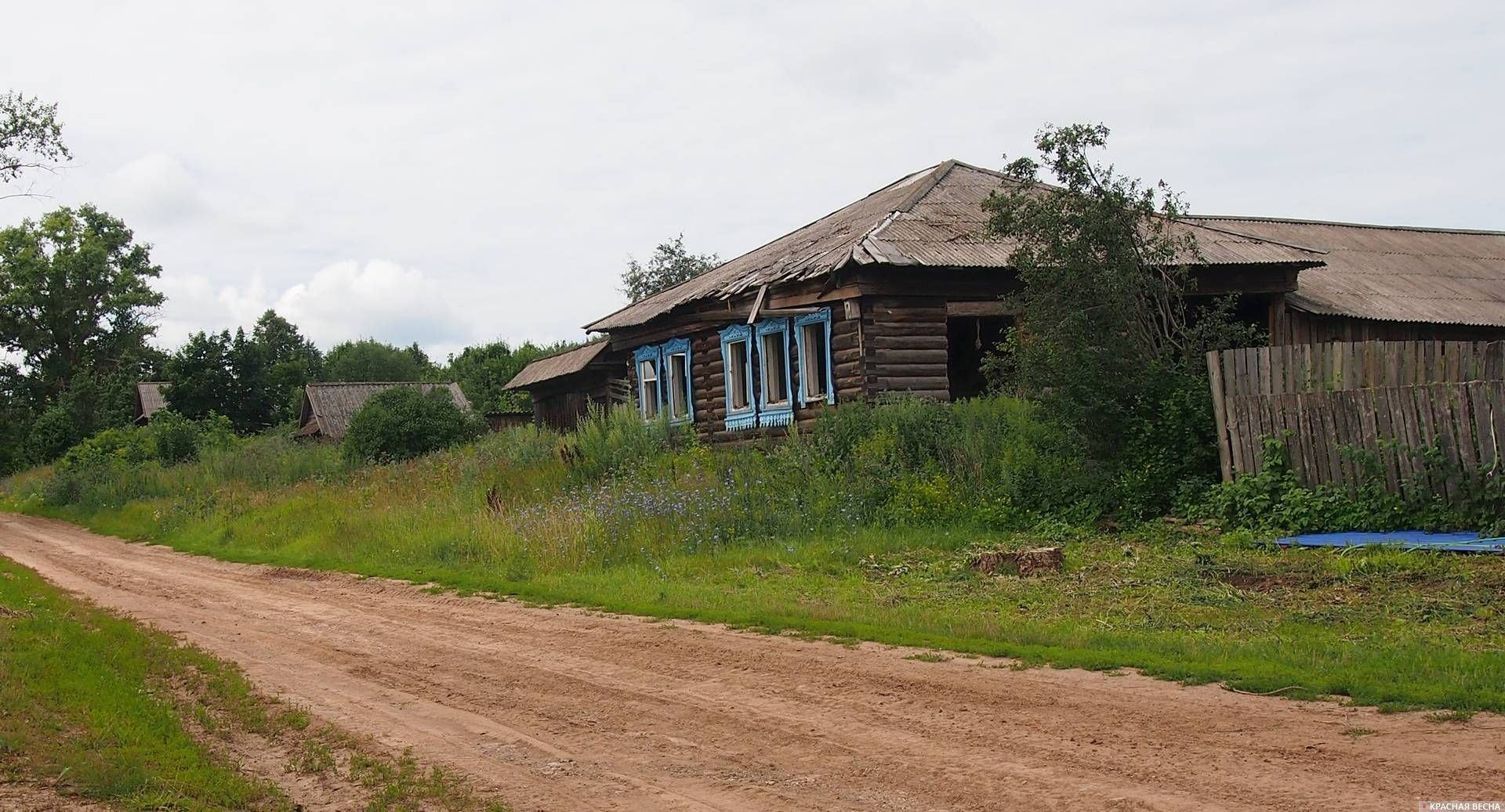 Деревня кресты псковская область