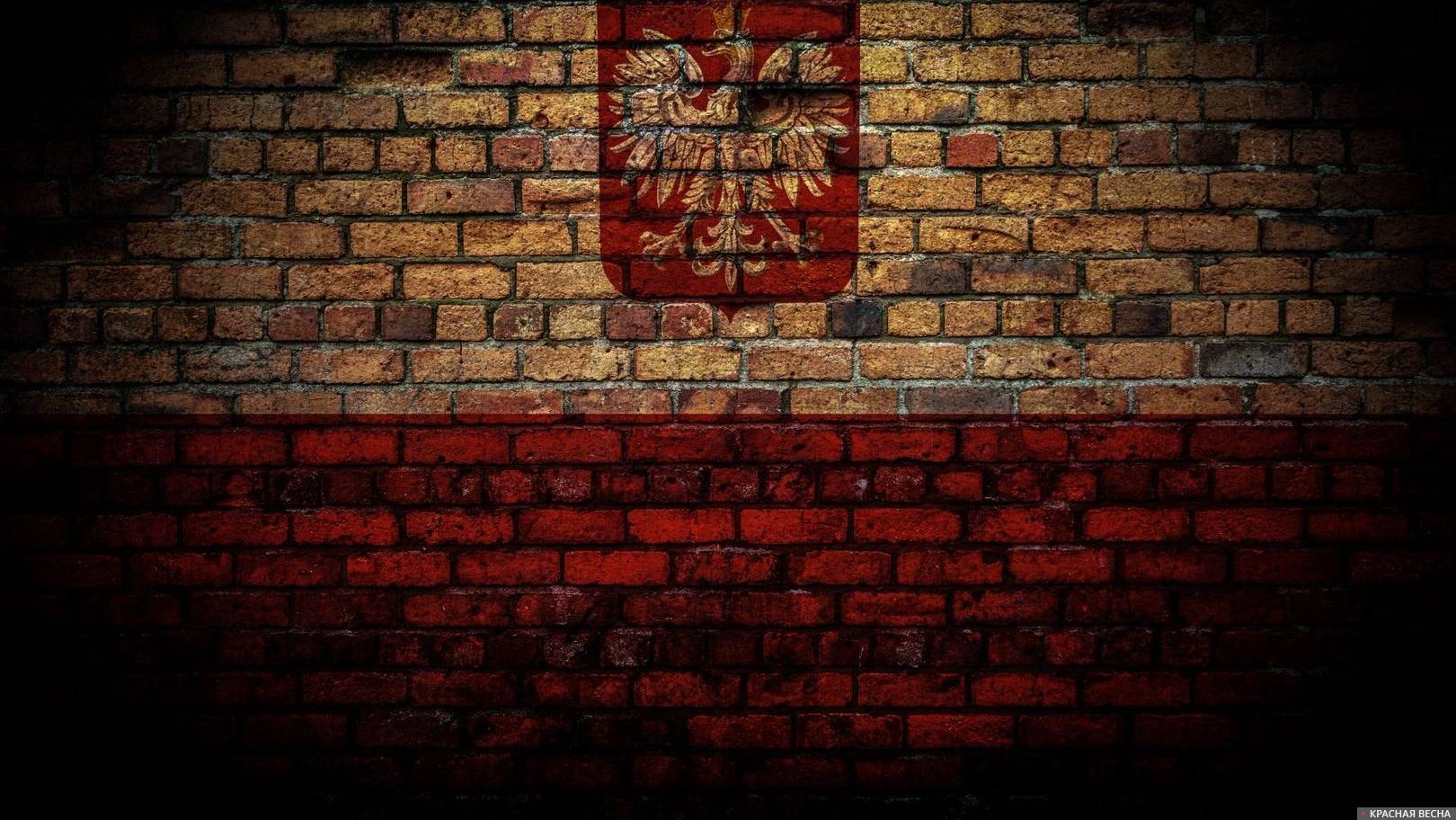 Польша флаг Бесплатная фотография -