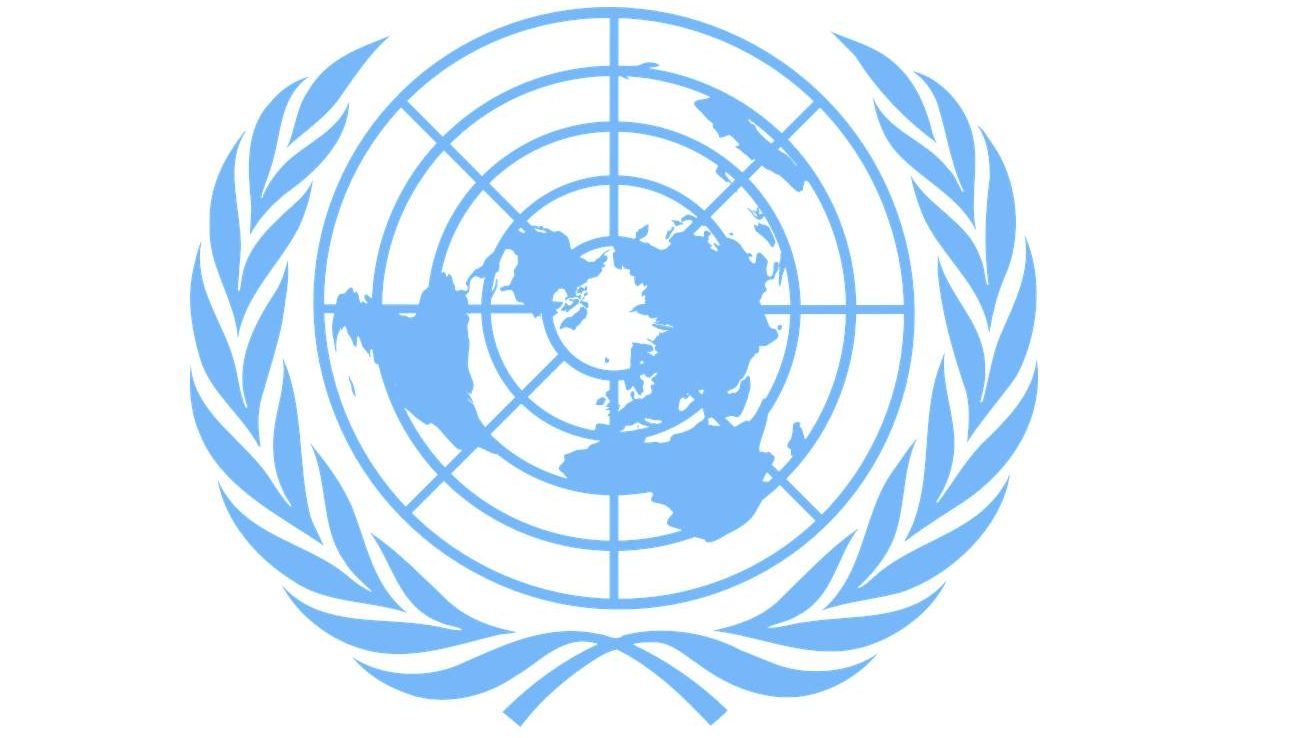 ЭКОСОС ООН эмблема