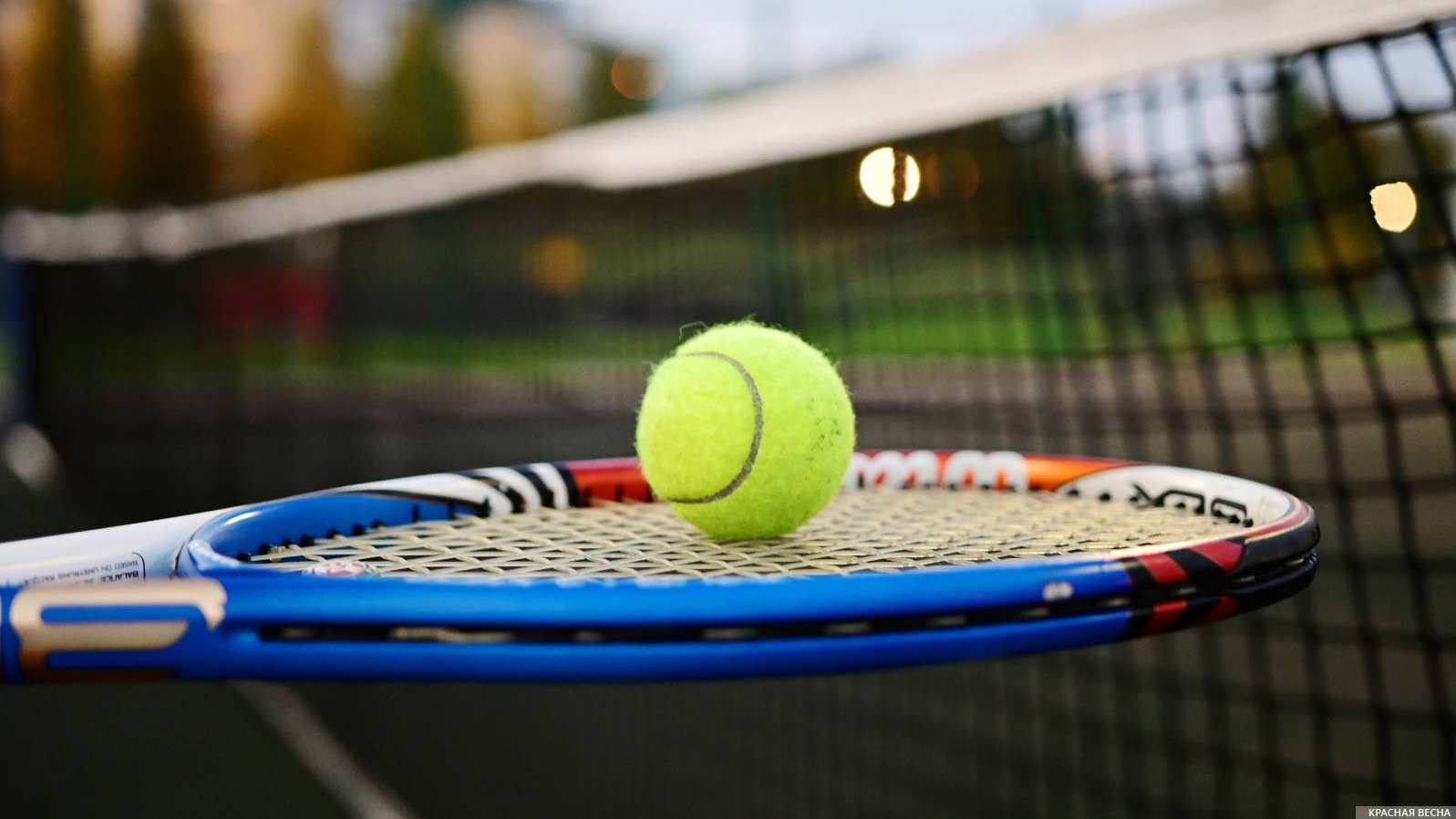 Циципас победил во втором круге теннисного турнира в Штутгарте