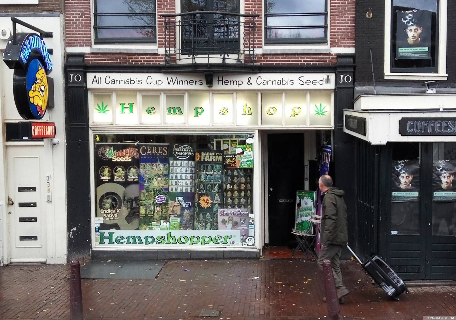 какие наркотики есть в амстердаме
