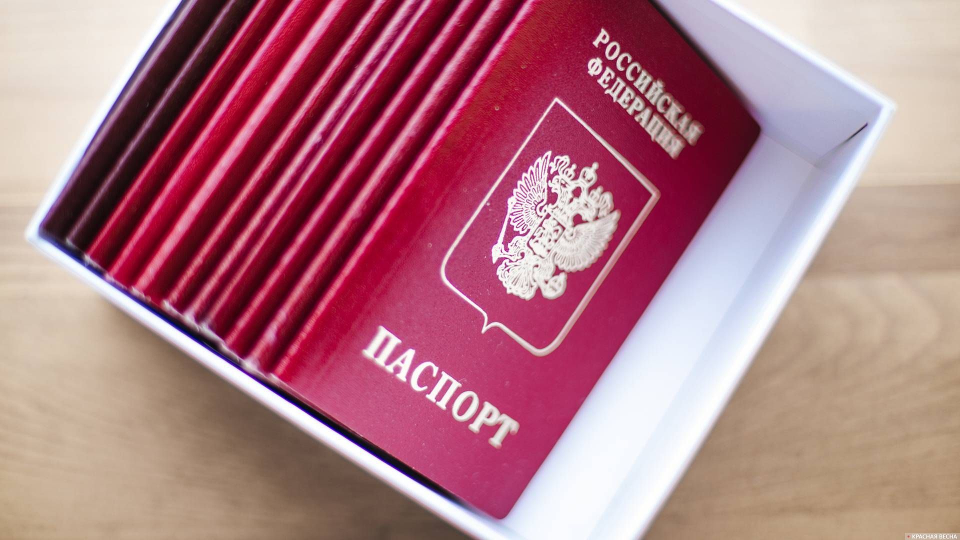 фото на паспорт красная поляна