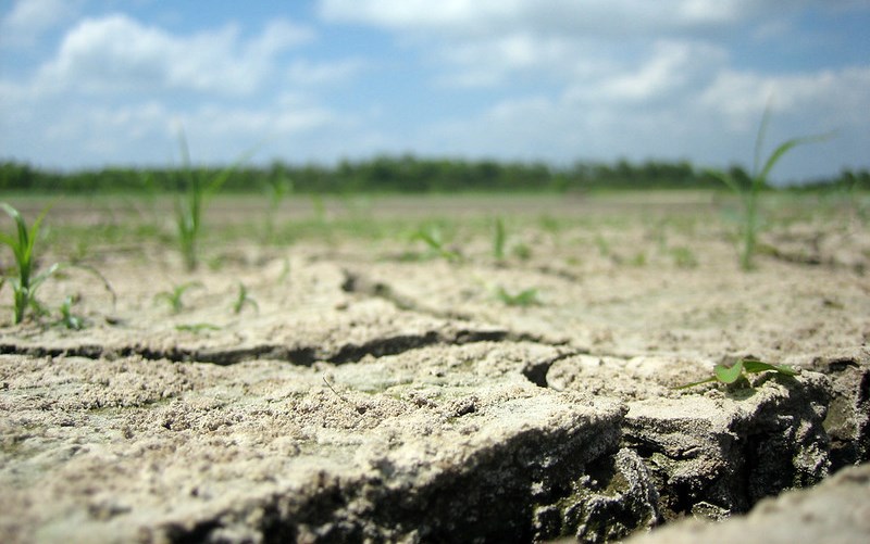 На западе Пакистана недостаток дождей создал угрозу сельскому хозяйству
