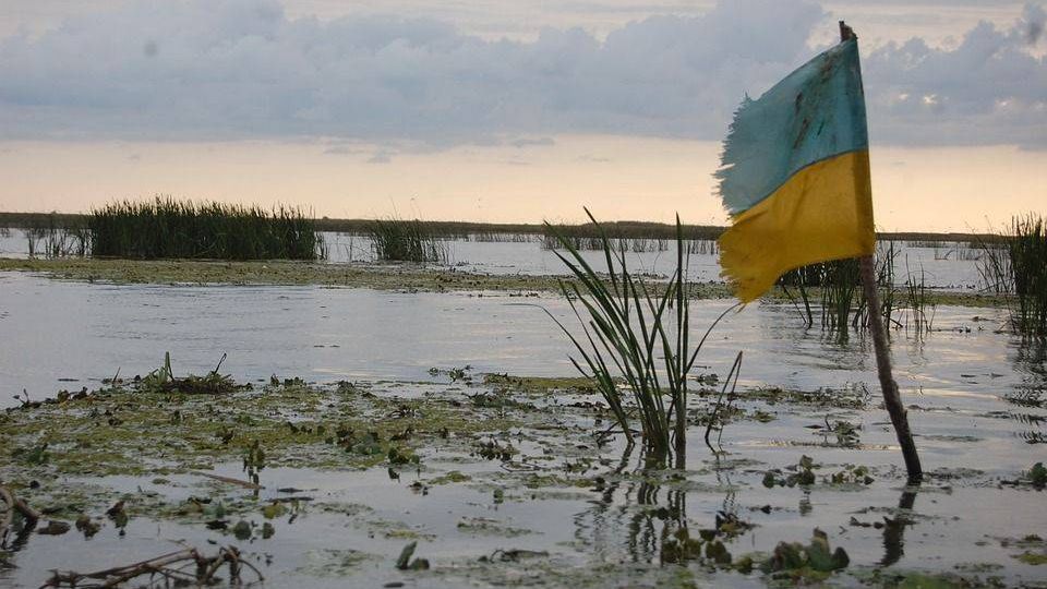 Украина в болоте