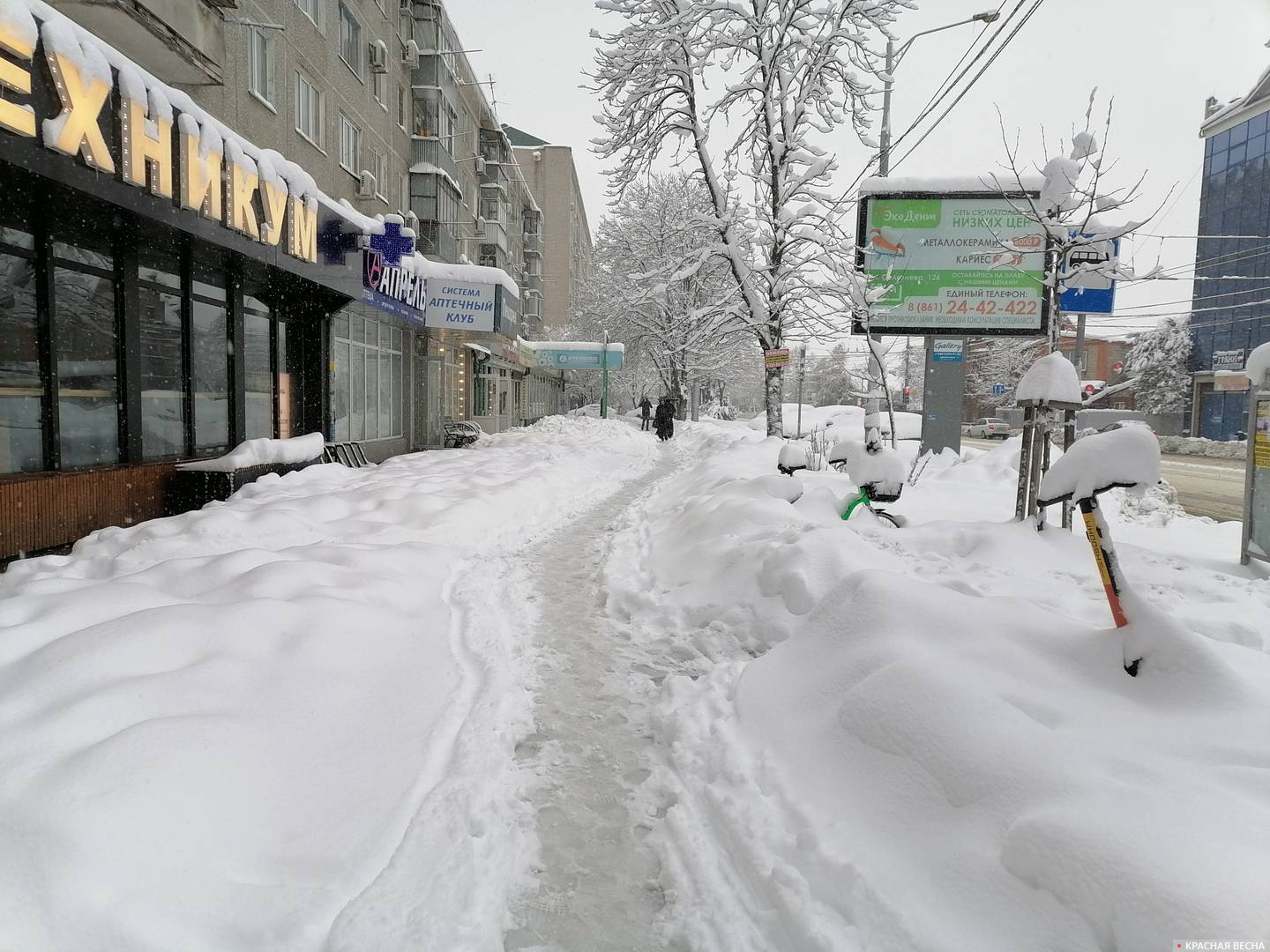 Прокуратура Краснодара проверит, как в городе чистят снег | ИА Красная Весна