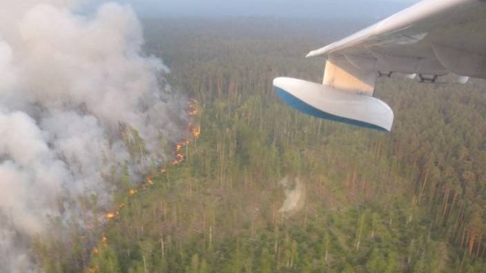 Лесняе пожары в Сибири