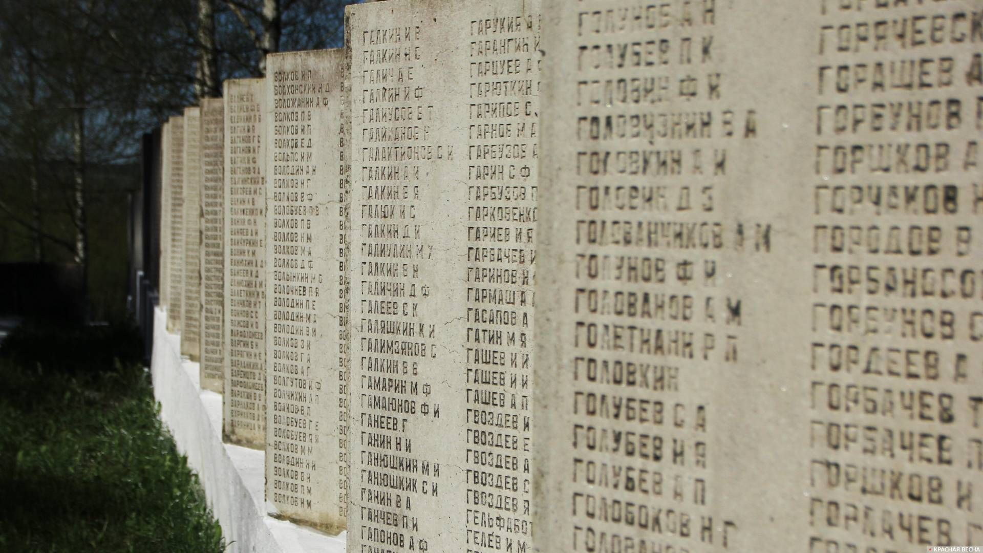 Список погибших фамилия имя. Братская могила подо Ржевом. Мемориал под Ржевом фамилии погибших.