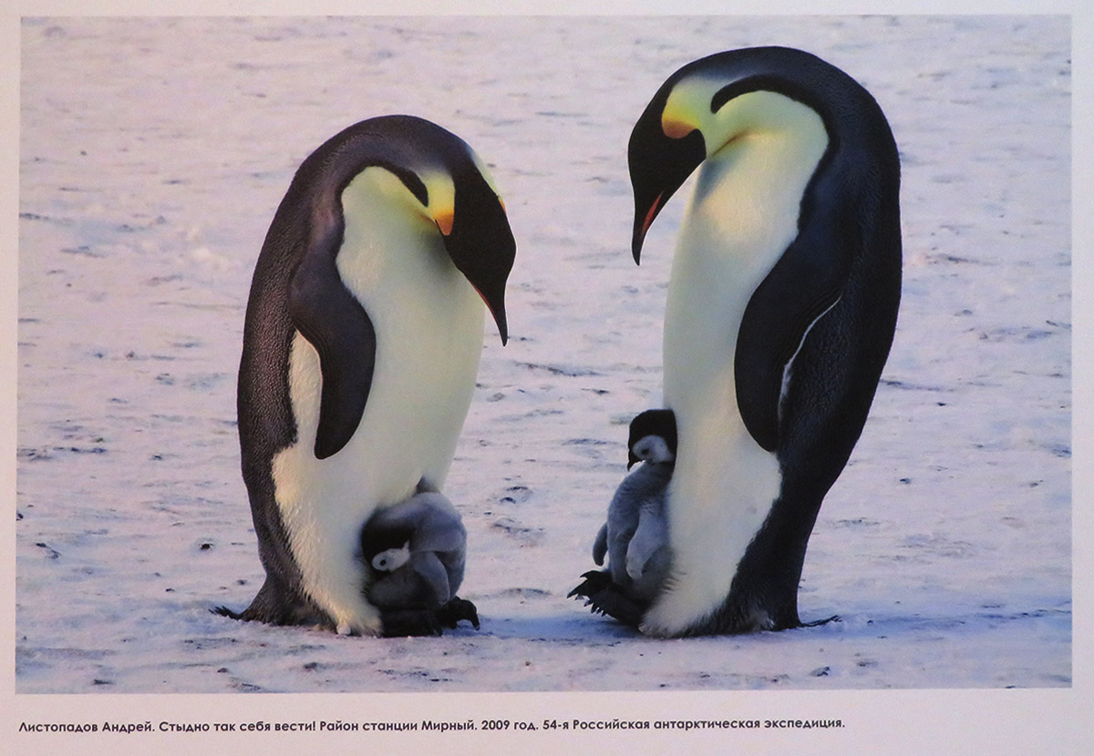 Листопадов Андрей. Стыдно так себя вести! Район Мирный. 2009 год. 54-я РАЭ.