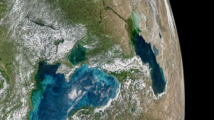 Каспийское и Черное море