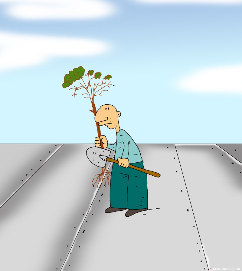 Садовник сажает дерево на стальном поле
