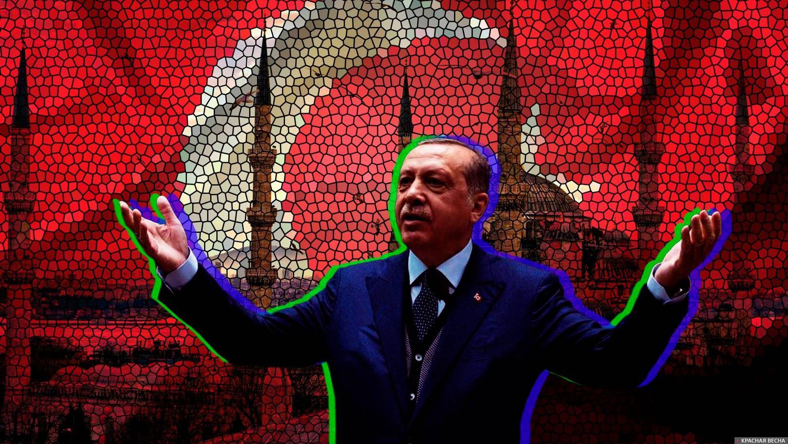 В Турции сформируют оппозиционный альянс против Эрдогана | ИА Красная Весна