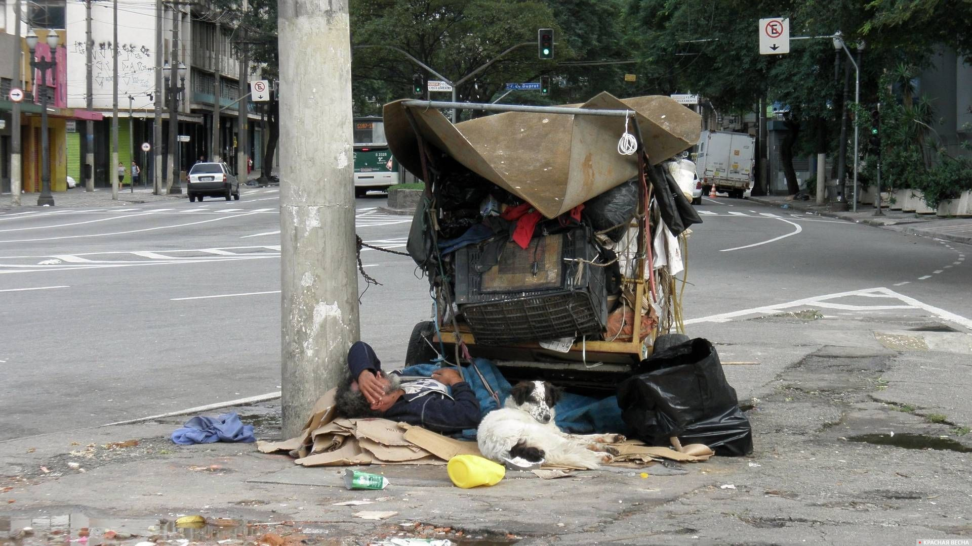 Бездомный. Латинская Америка