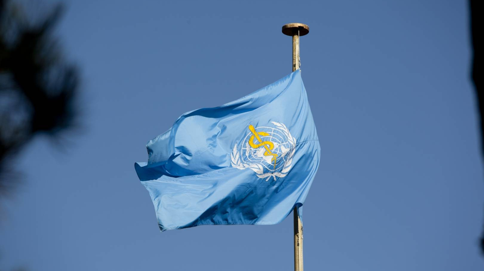 Флаг Всемирной организации здравоохранения (ВОЗ)