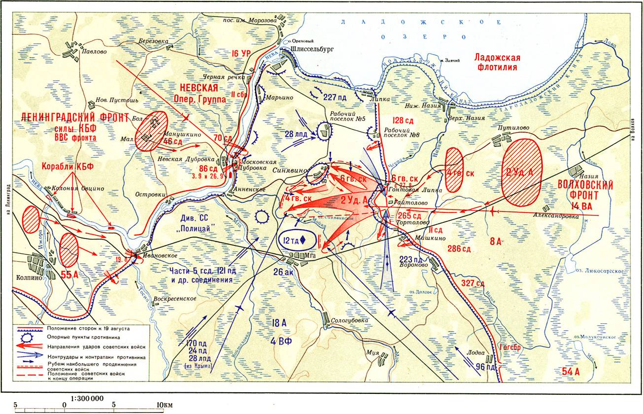Синявская наступательная операция. Август-сентябрь 1942 г.
