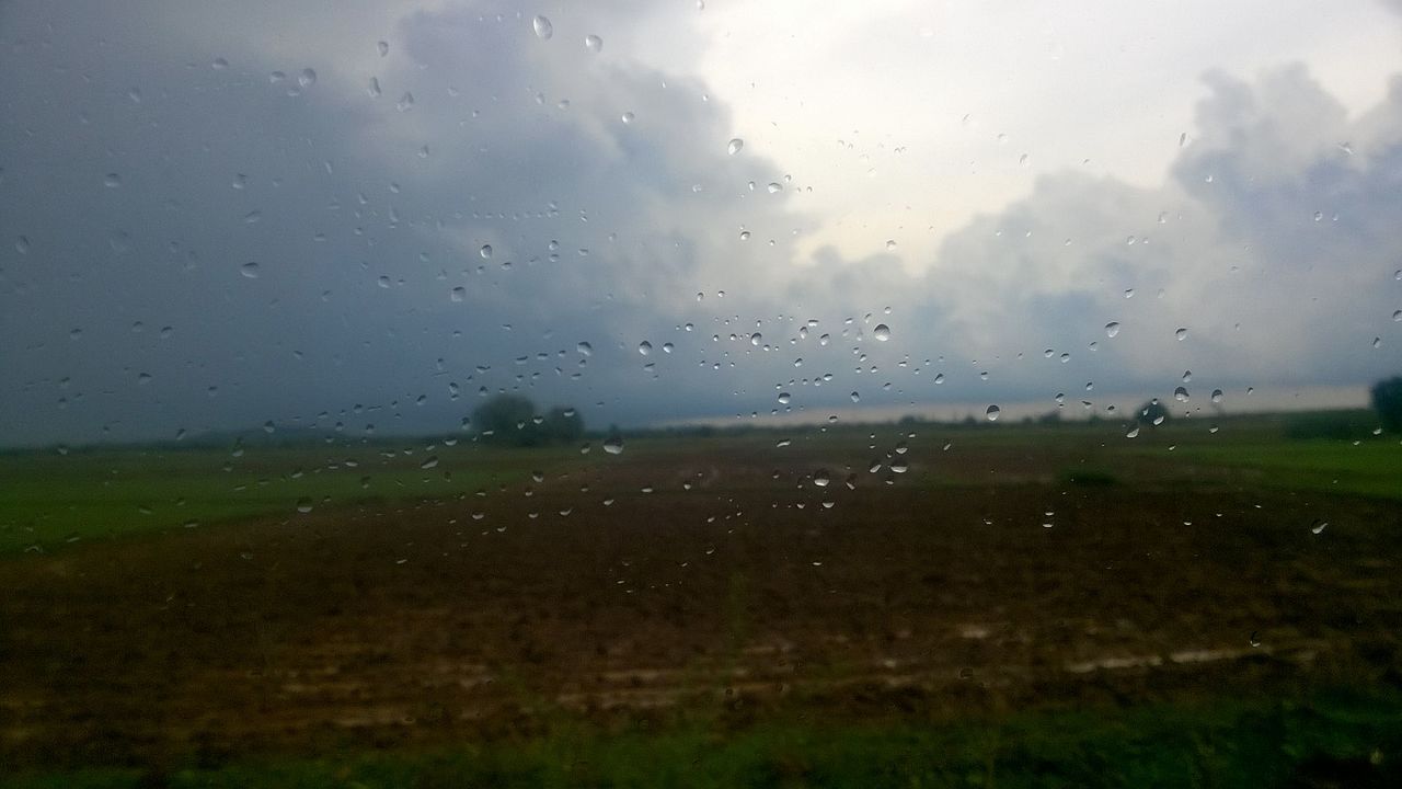 Дождь в поле