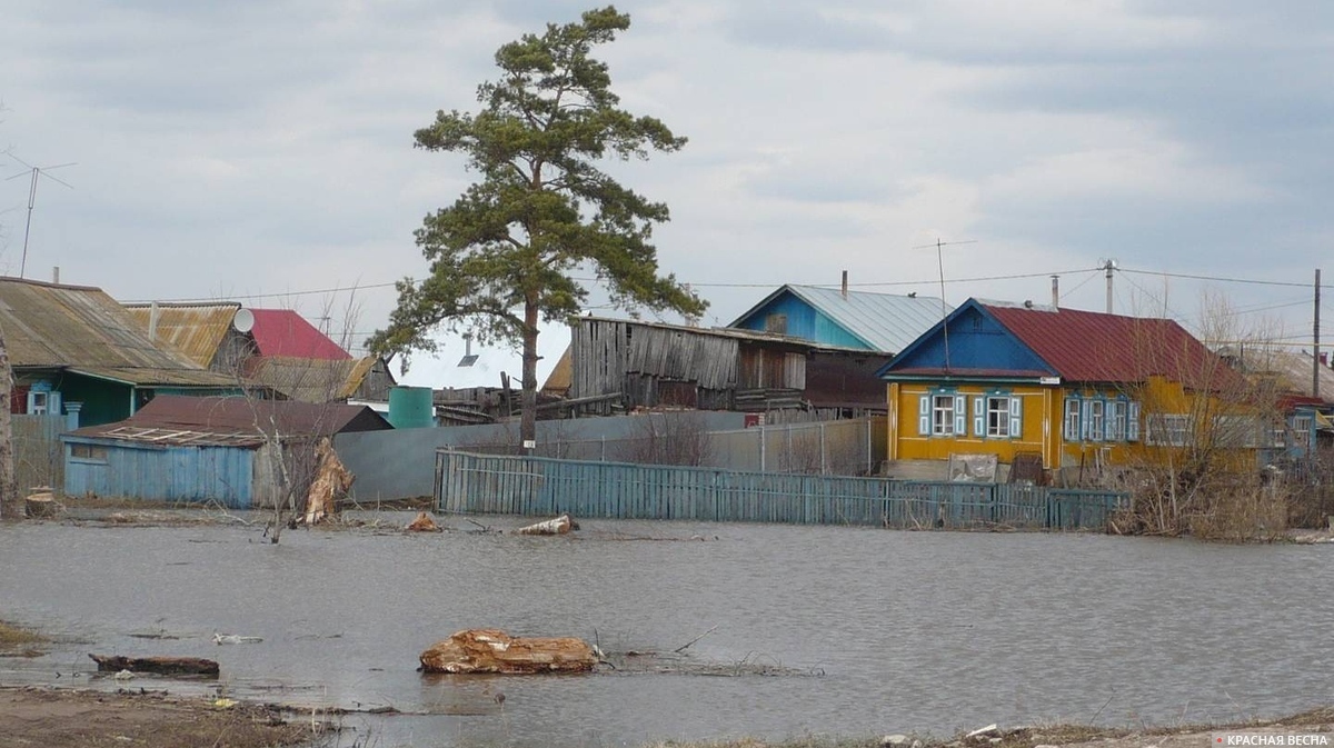 Паводок