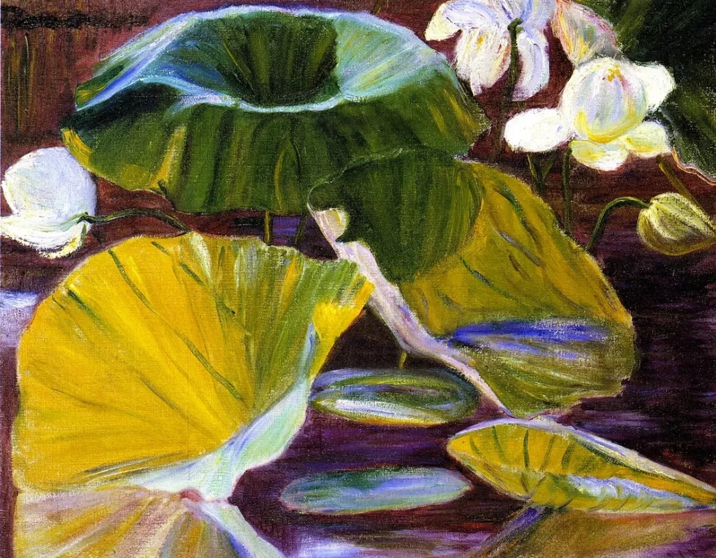 Лила Кэбот Перри.Цветок лотоса. Япония. 1900